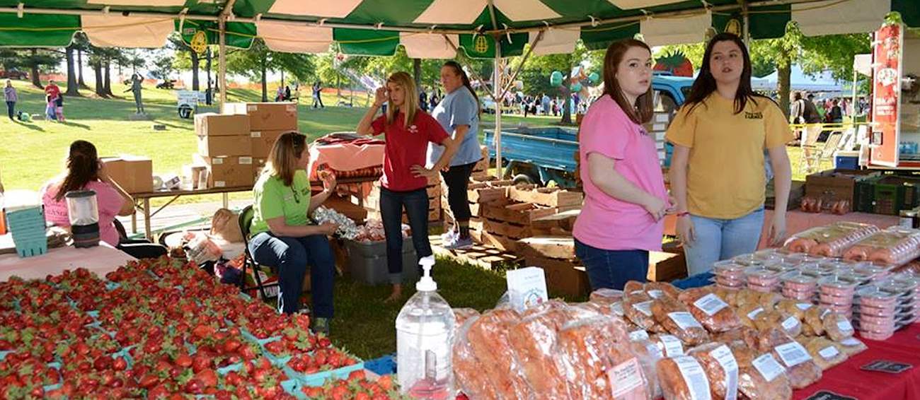 South Carolina Strawberry Festival Fruit festival in Fort Mill