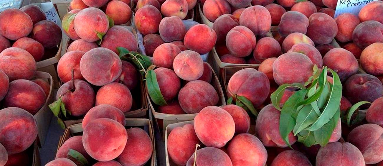 Michigan Peach Festival Fruit festival in Romeo Where? What? When?