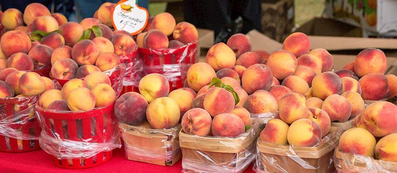 Niagara County Peach Festival Fruit festival in Lewiston Where