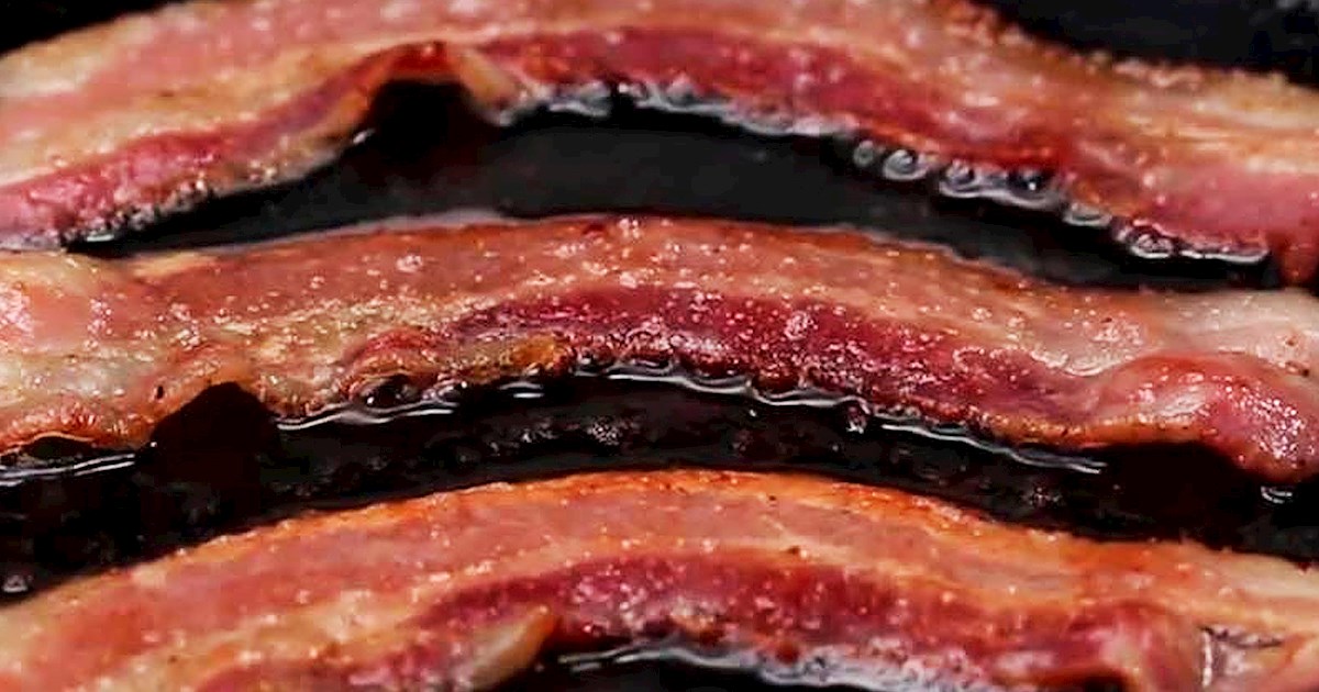 San Diego Bacon Fest Meat festival in San Diego Where? What? When?