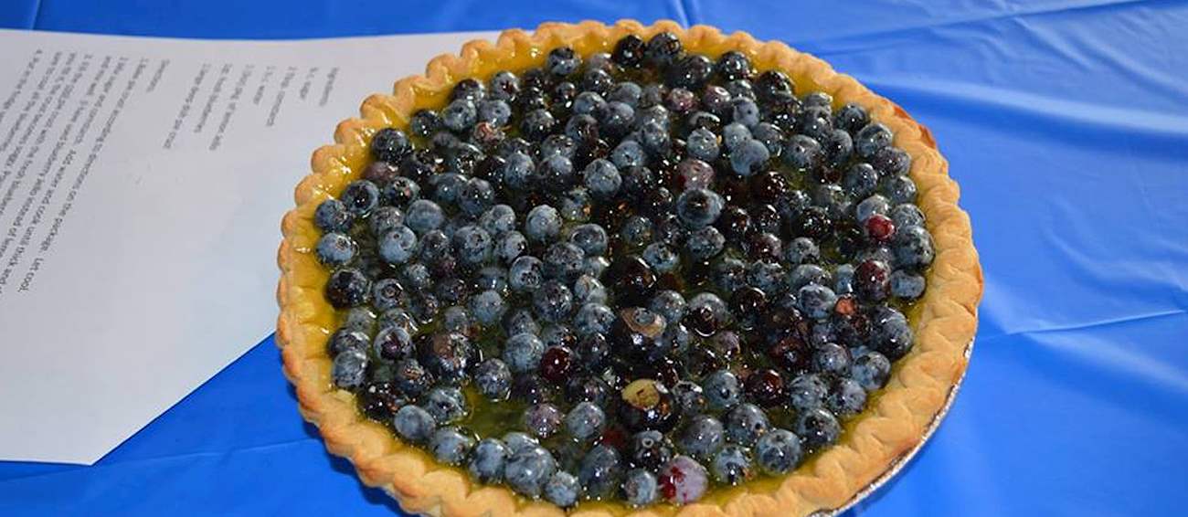 North Carolina Blueberry Festival Fruit festival in Burgaw Where
