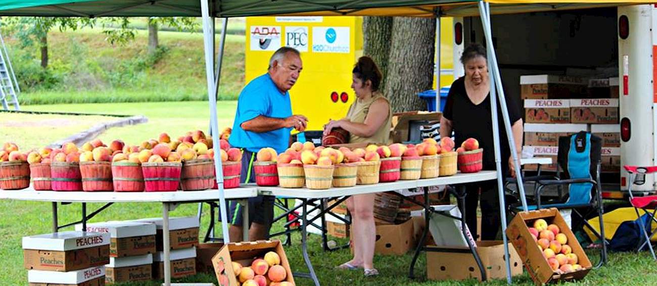 Stratford Peach Festival 2024 Location Teddy Morena