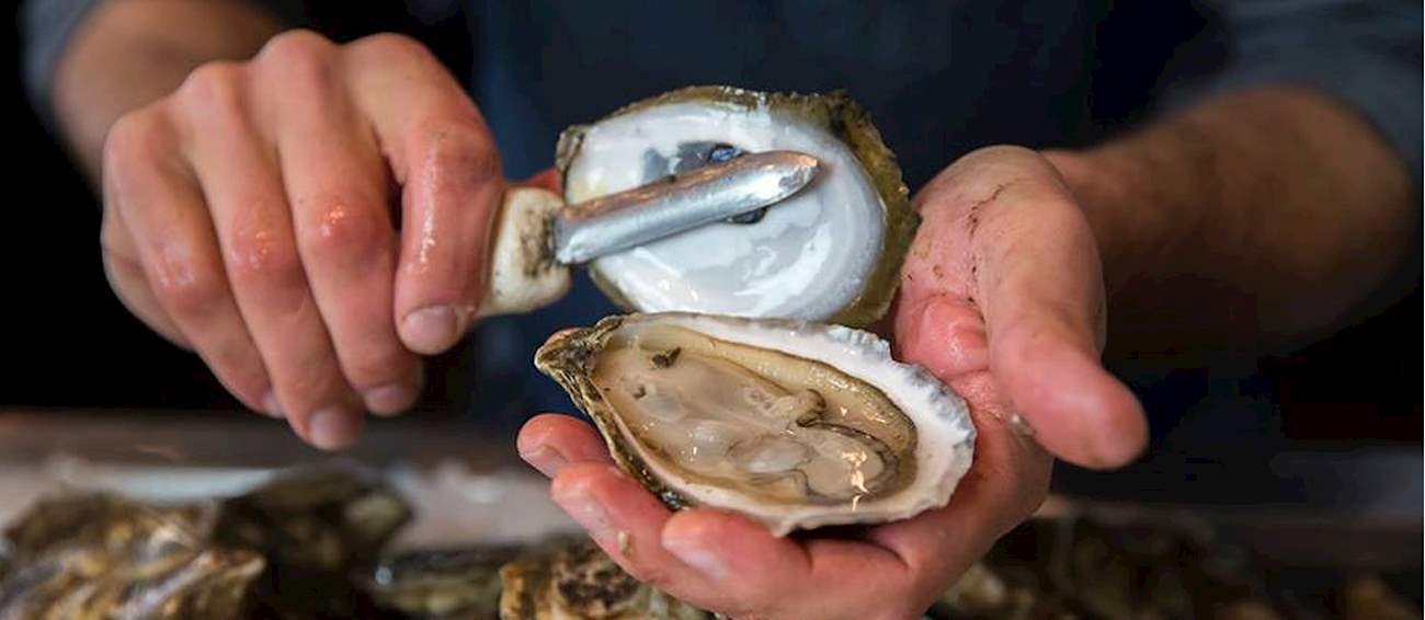 Wellfleet OysterFest Seafood festival in Wellfleet Where? What? When?