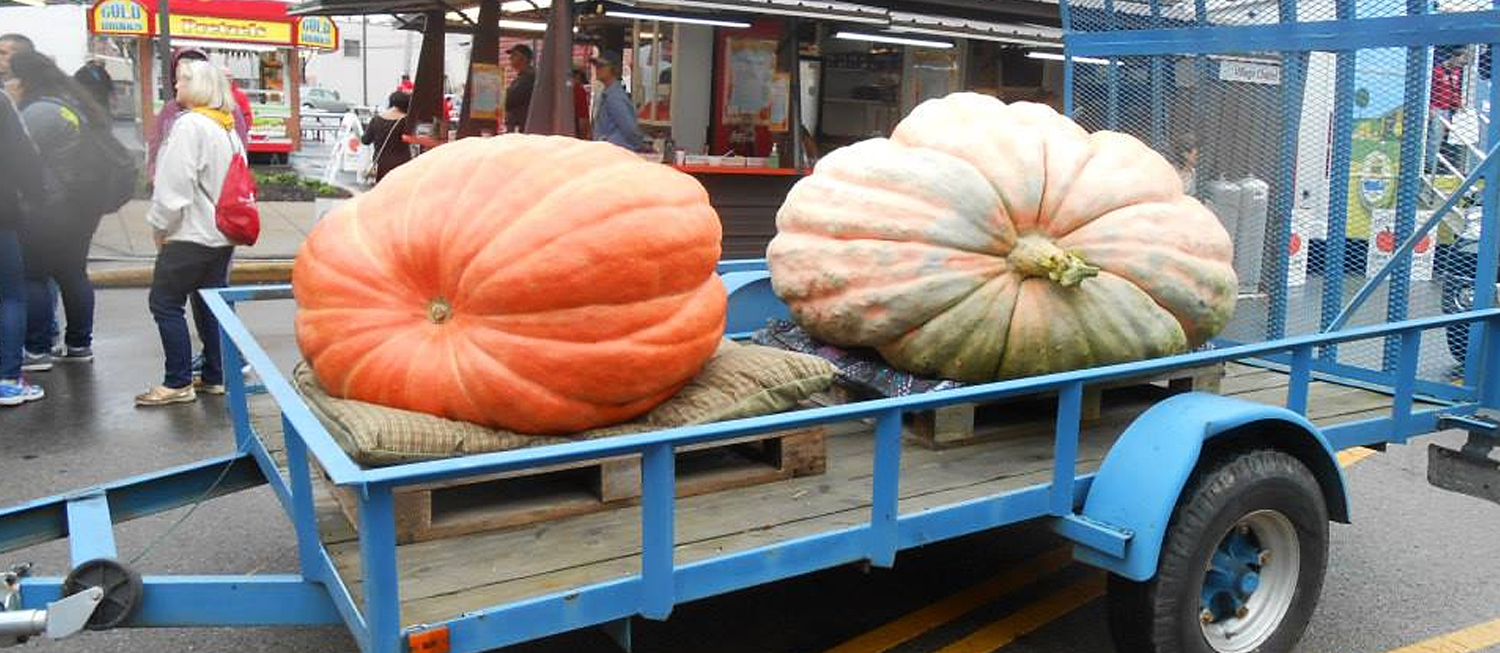 Circleville Pumpkin Show Vegetable festival in Cincinnati Where