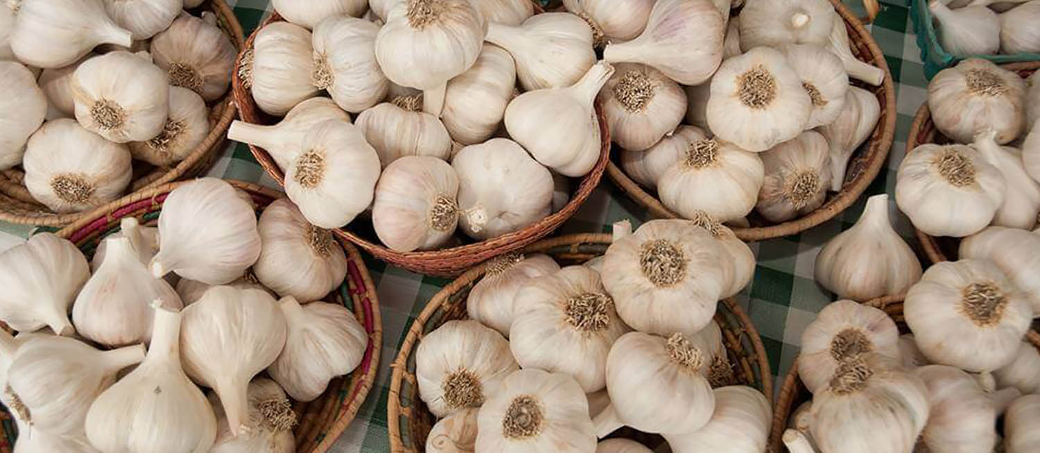ster Garlic Festival Vegetable festival in ster Where? What