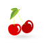 Sour Cherries