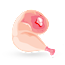 Duck Thighs