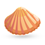 Scallops