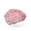 Caul Fat