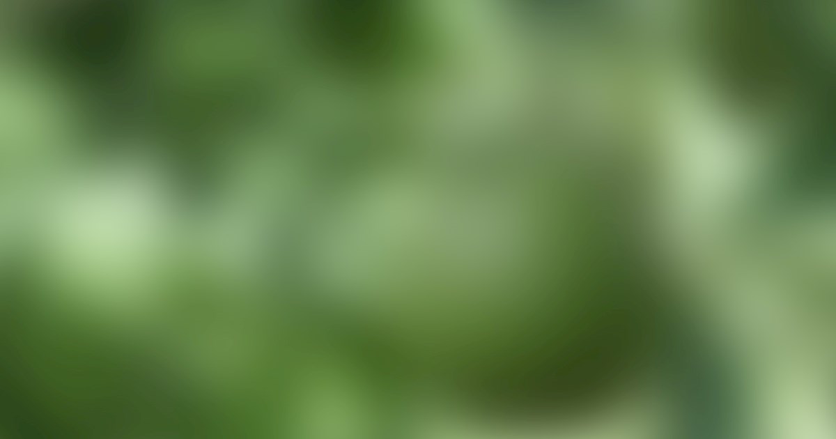 English Pomelos 0 Pomelo Types in England TasteAtlas