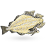 Salted Cod