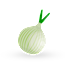 Onion