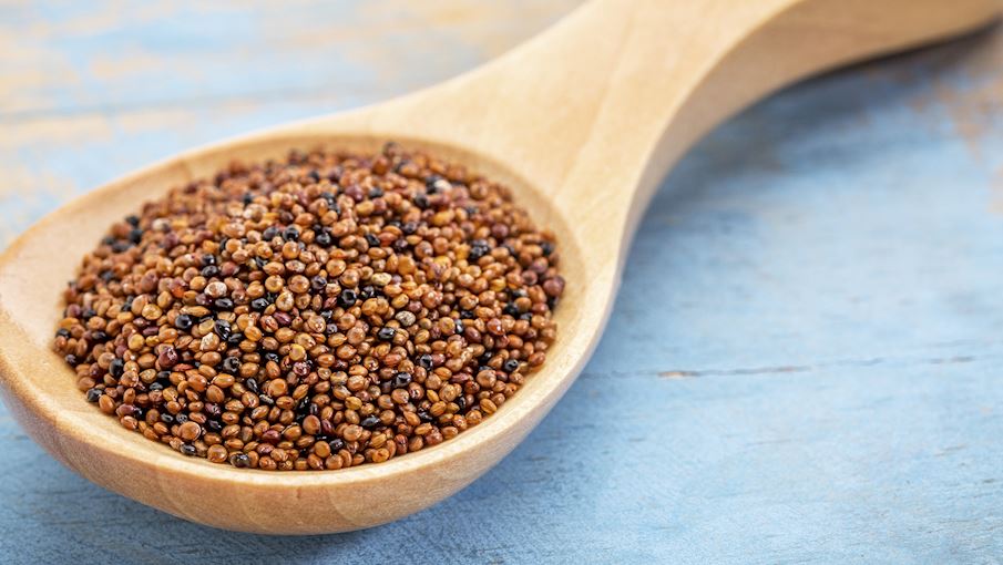 Most Popular Grains in The World TasteAtlas