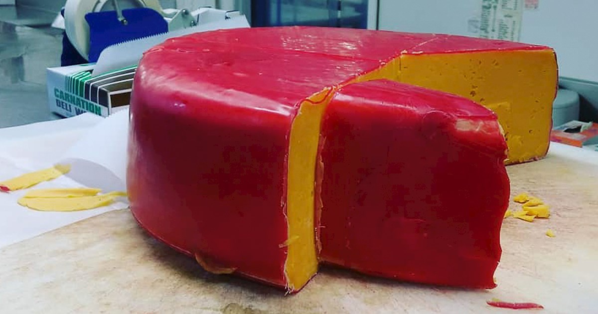 Hoop Cheese Local Cheese From Wisconsin, United States of America