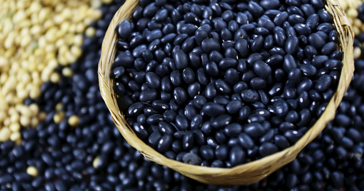 Hei Dou Local Soybeans From China