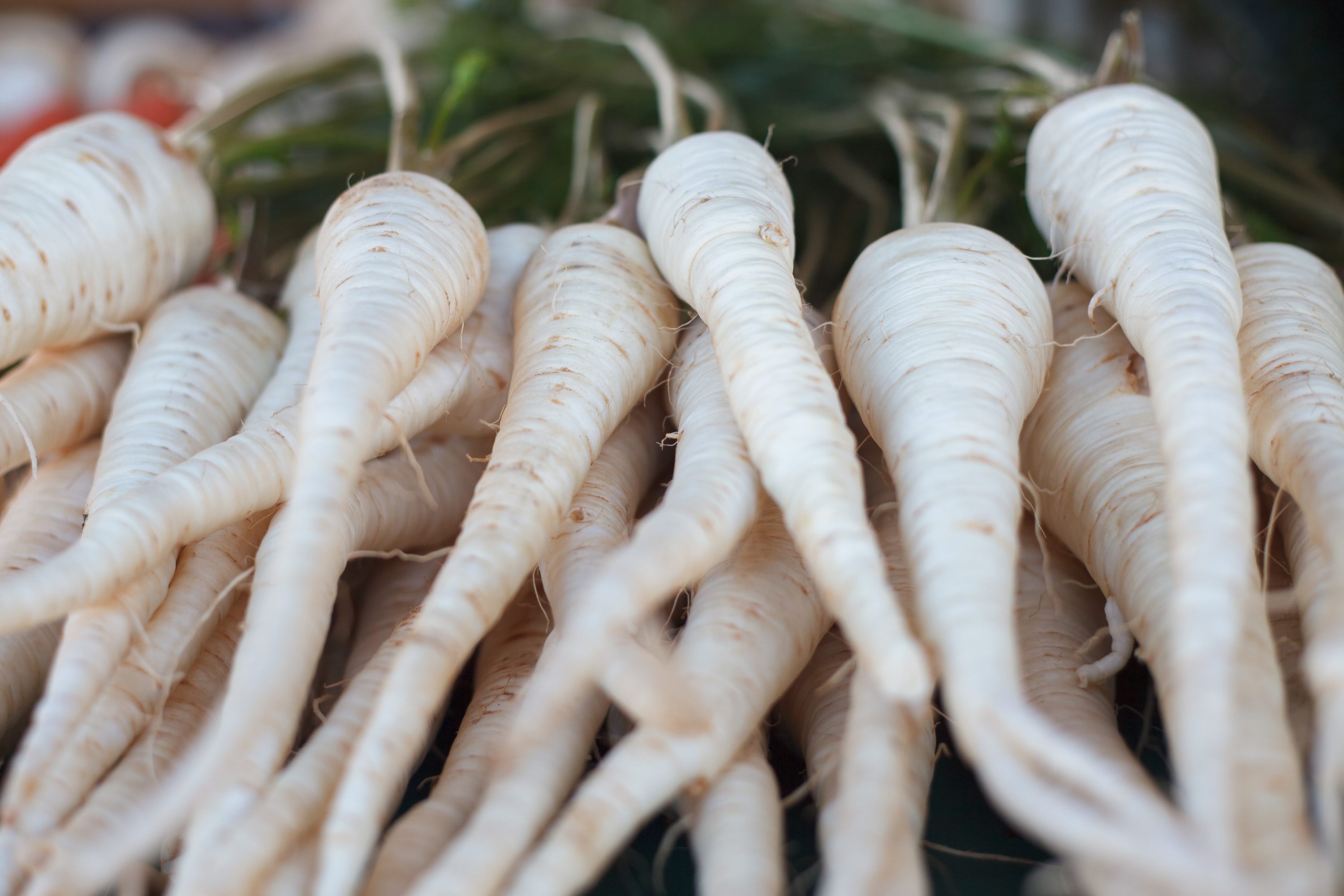 european-root-vegetables-10-root-vegetable-types-in-europe-tasteatlas