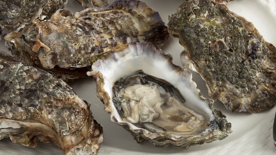 3 Most Popular British Oysters - TasteAtlas