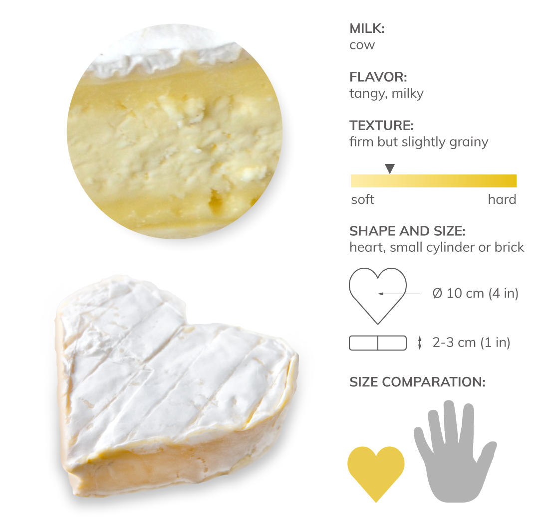 Neufchâtel Local Cheese From NeufchâtelenBray, France TasteAtlas
