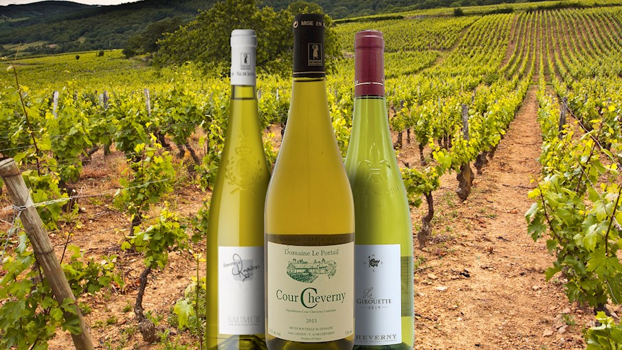 100 Most Popular French Wine Appellations TasteAtlas