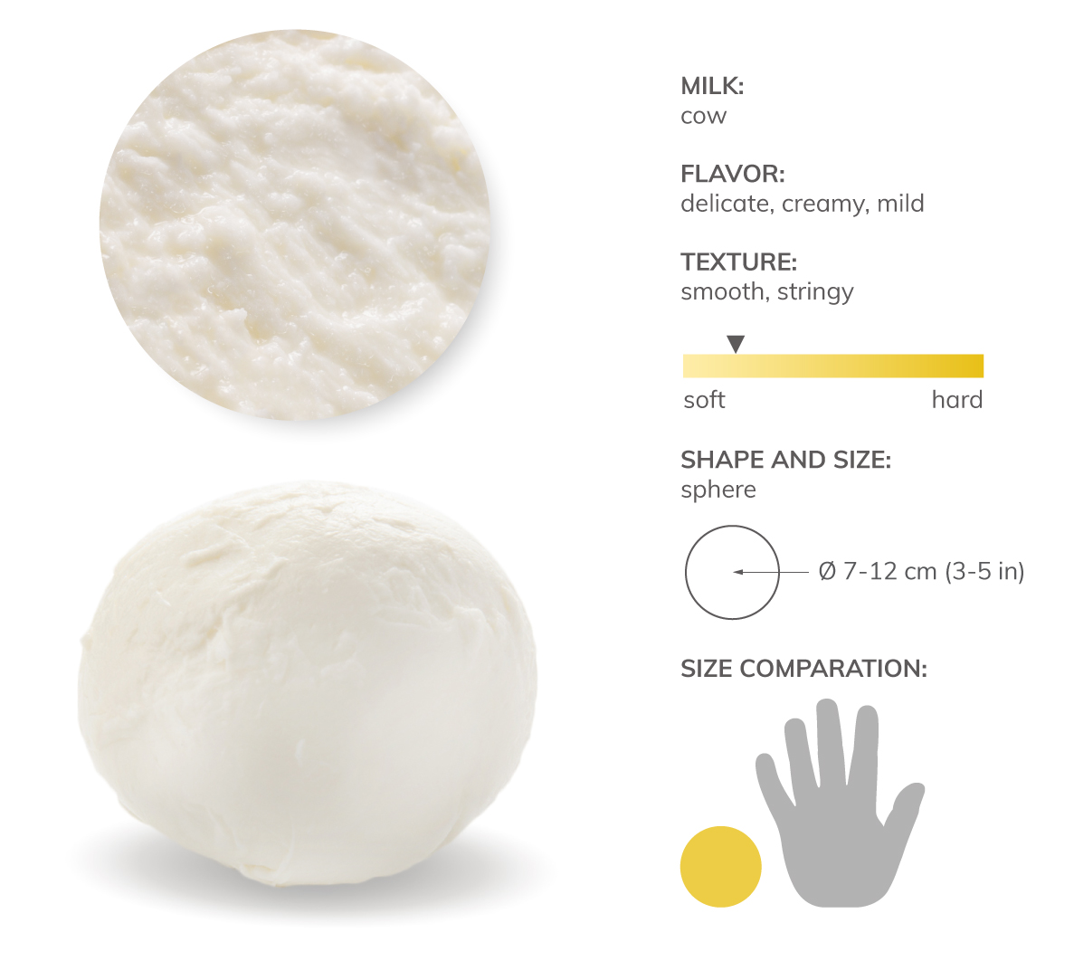 Mozzarella Local Cheese From Italy TasteAtlas