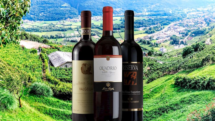 50 Most Popular Italian Red Wines Tasteatlas 