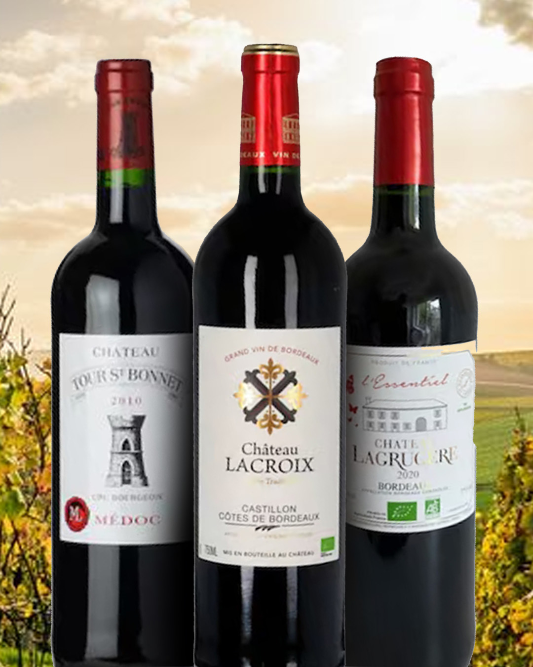 Cabernet Franc | Local Wine Variety From Bordeaux, France