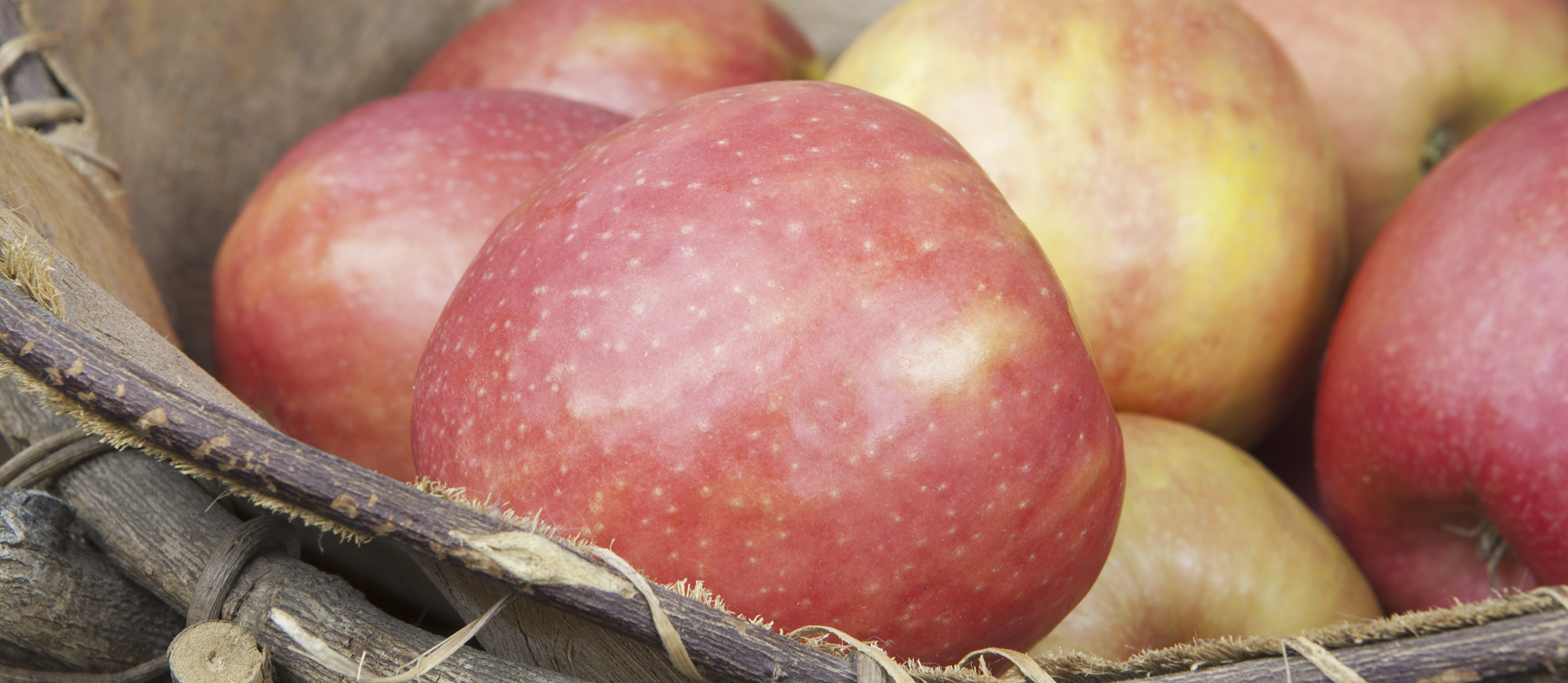 A Fruity Fiesta: Exploring the Diverse World of Australian Fruits