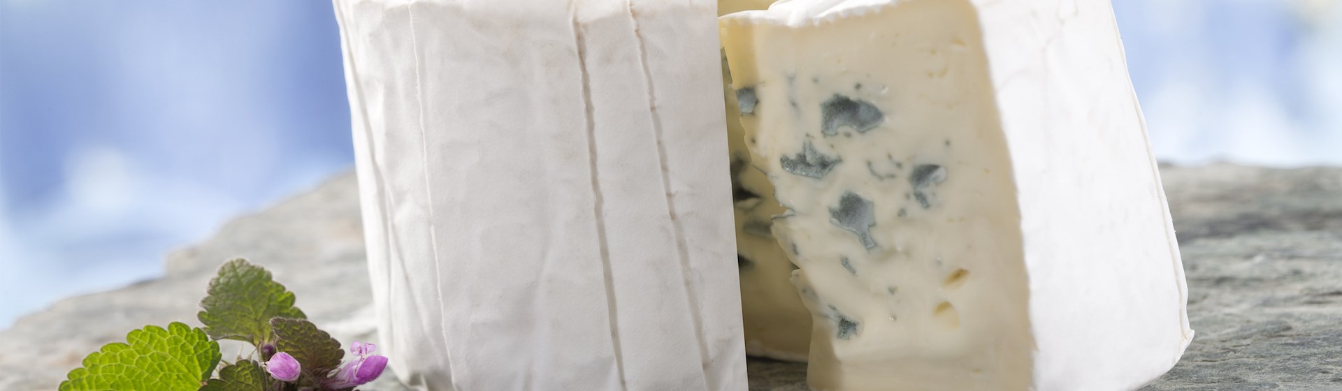 White Bloomy Rind 8 Best Bloomy Rind Cheeses in Bourgogne-Franche-Comté - TasteAtlas