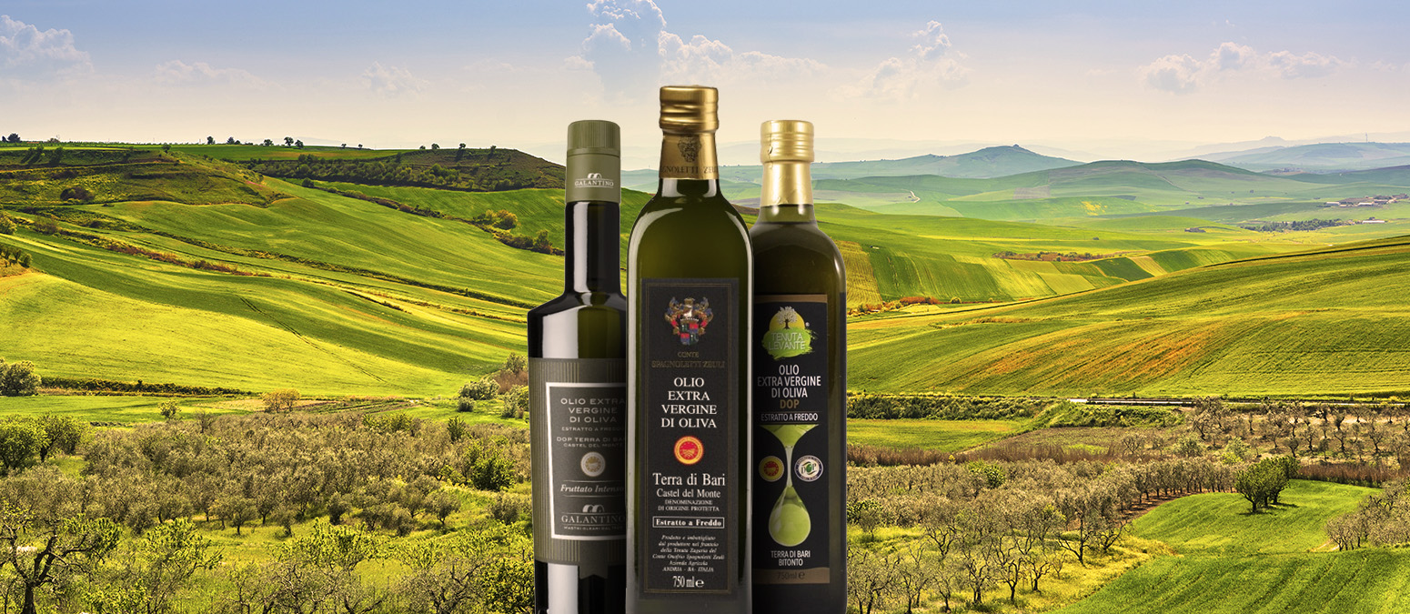 Terra di Bari | Local Olive Oil From Metropolitan City of Bari, Italy