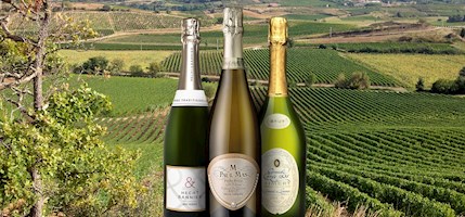 Crémant de Limoux