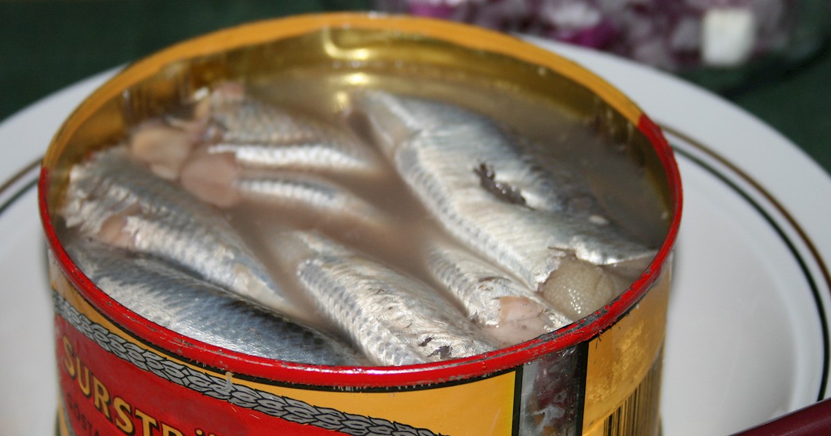 Surströmming  Tasting Sweden's Foulest-Smelling Fish - Amuse
