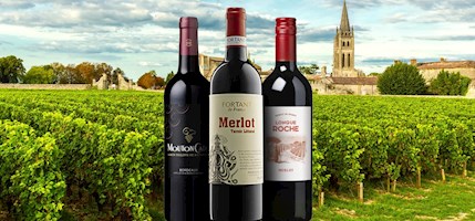 Merlot