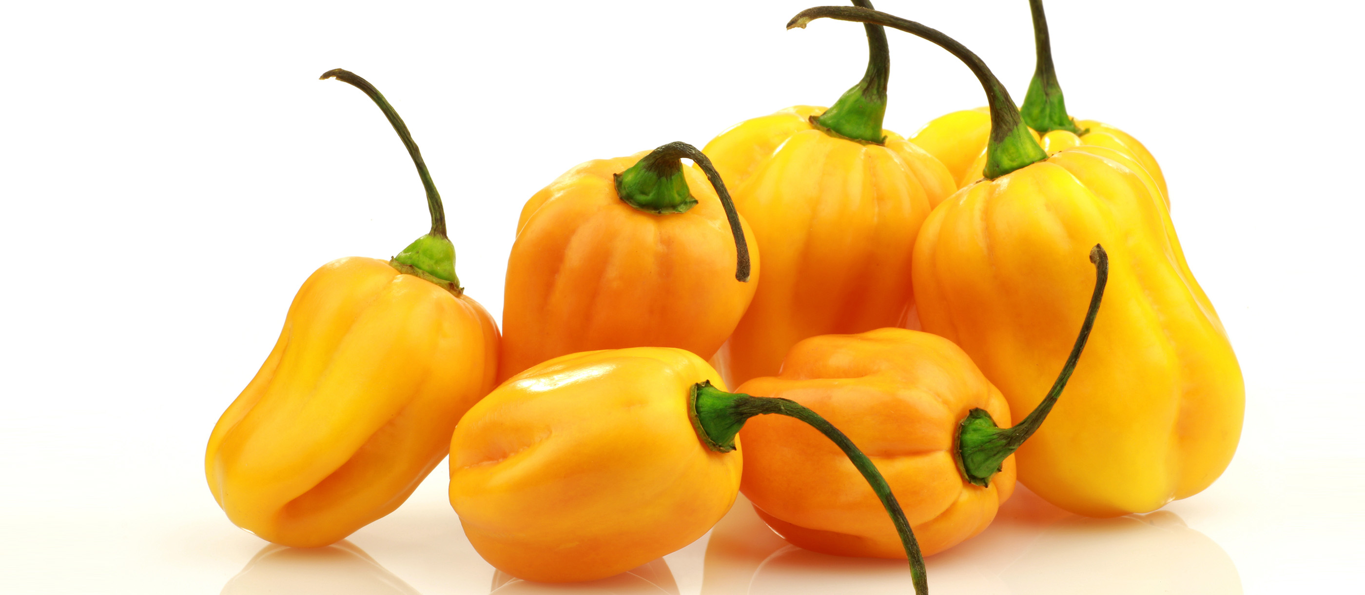 Madame Jeanette | Local Hot Pepper From Suriname 