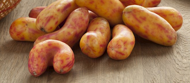 South American Tubers: 16 Tuber Types in South America TasteAtlas South American Tubers: 16 Tuber Types in South America TasteAtlas