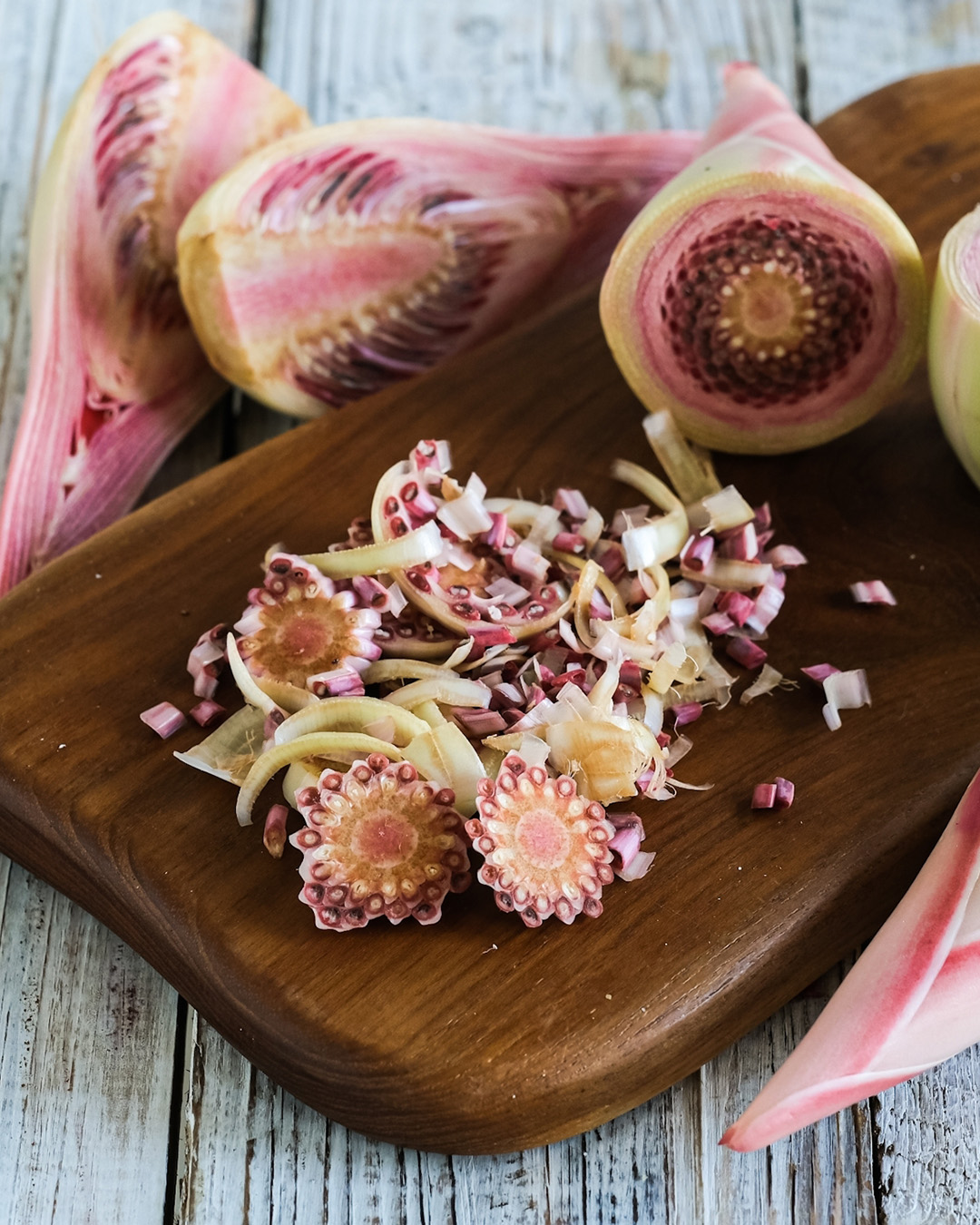 Kecombrang | Local Flower From Indonesia, Southeast Asia