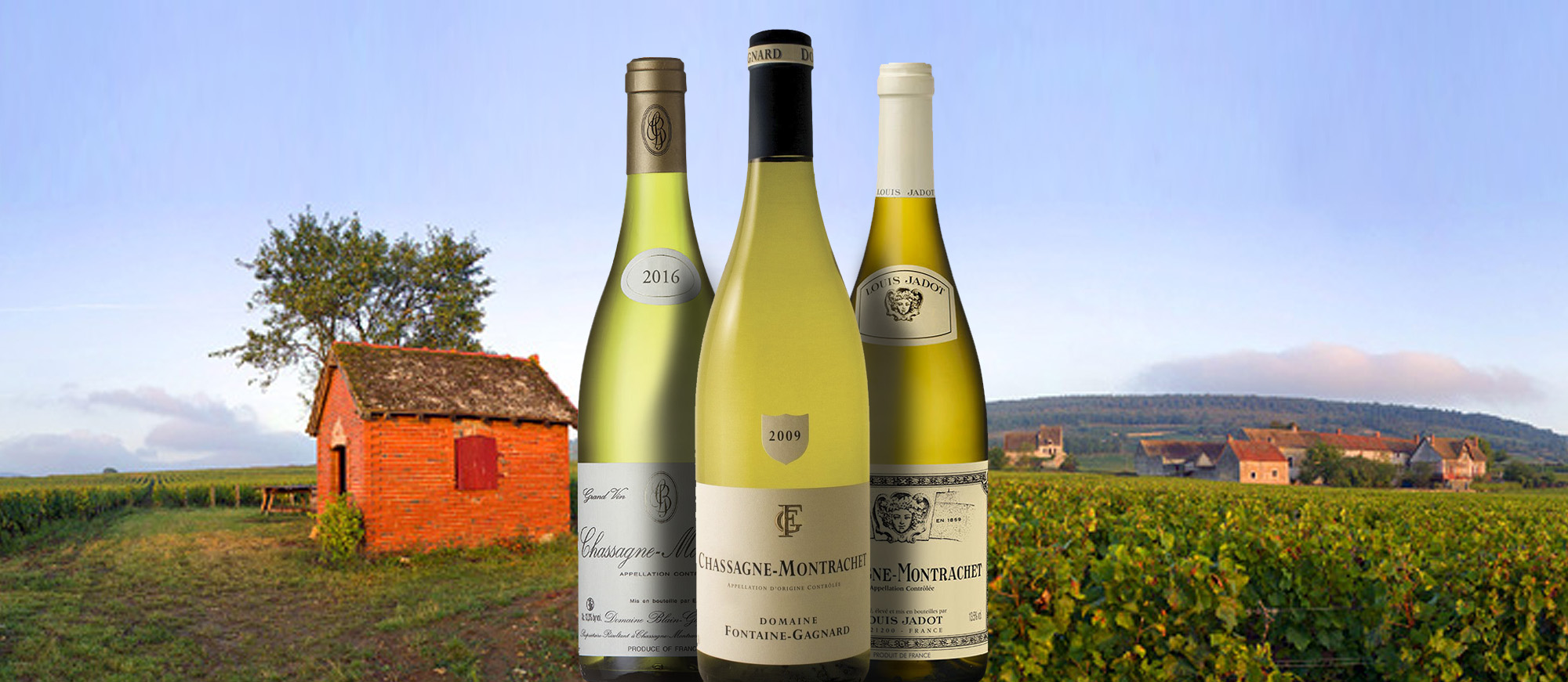 white wines types white wines types