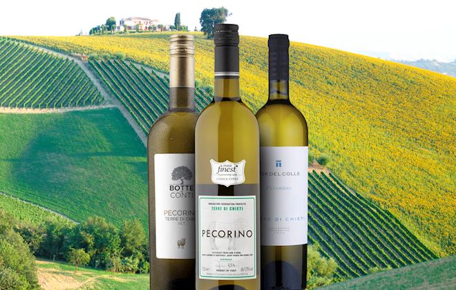 Italian White Wines 37 White Wine Types In Italy Tasteatlas