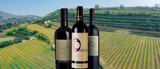 light red wine from verona codycross