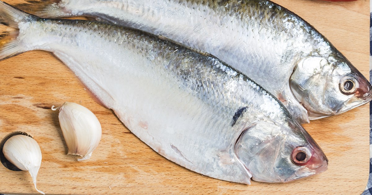 12 Best White Fishes in the World - TasteAtlas