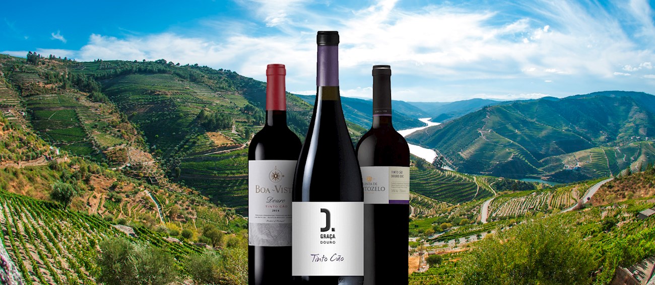 5 Most Popular Braga Wines (Varieties and Appellations) - TasteAtlas