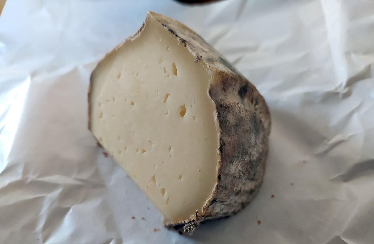 Сорт мягкого сыра 5 букв сканворд. Сорт французского сыра 5. Грузинский сыр 5 букв. Финский сырок 5 букв.