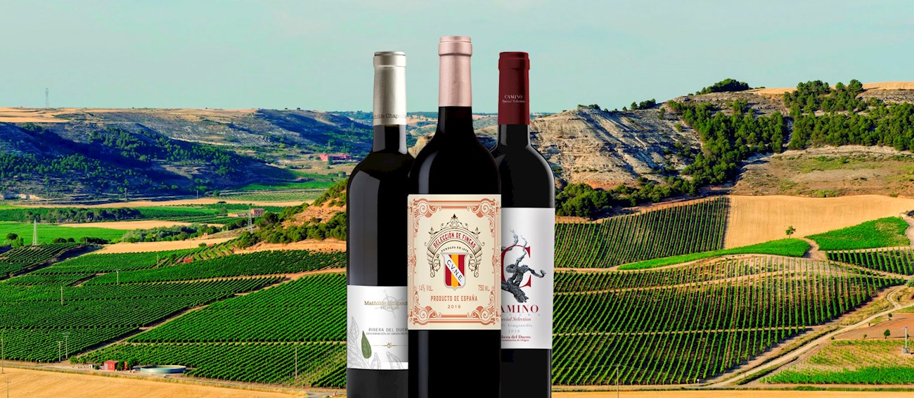 11 Best Red Wines in Spain TasteAtlas