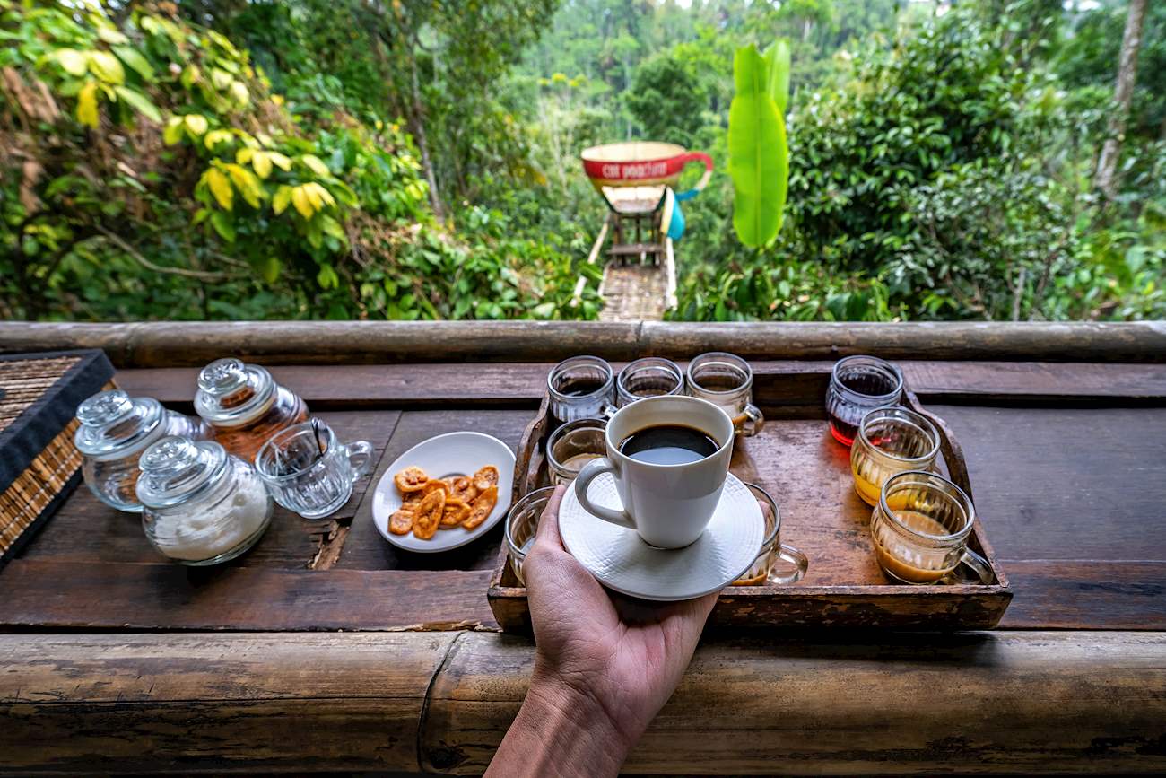 Coffee island bali. Кофе на Бали.