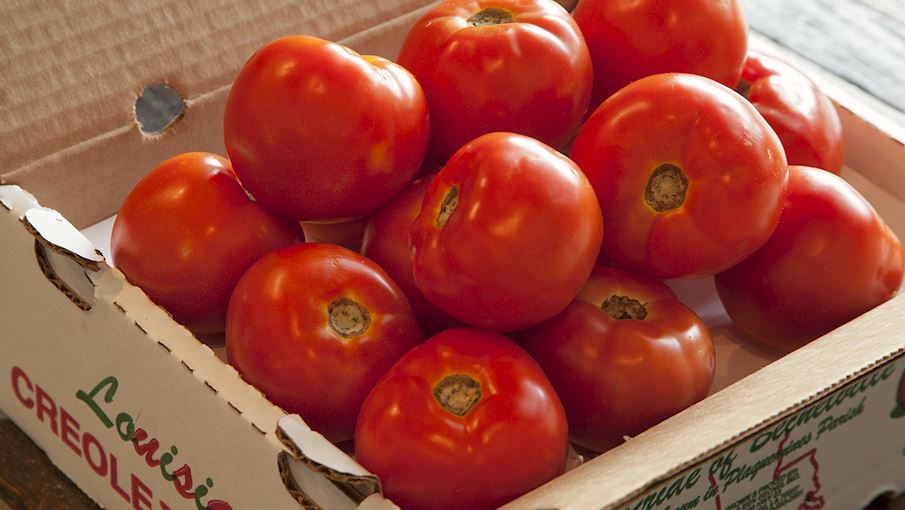 10 Most Popular North American Fruit Vegetables TasteAtlas