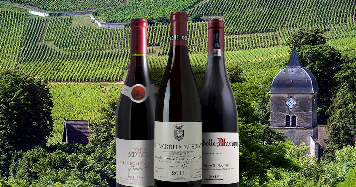 Popular Burgundian Red Wines -