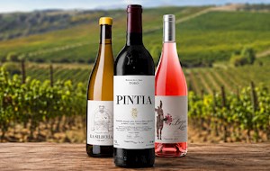 Vino de la Tierra de Castilla y León