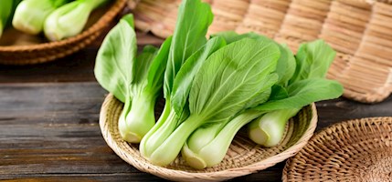 Bok choy