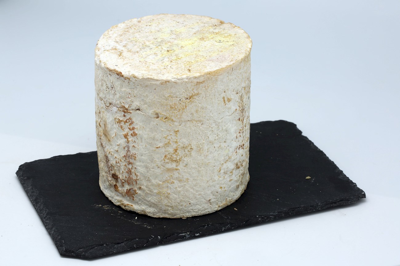 4 Most Popular French Mixed Milk Cheeses