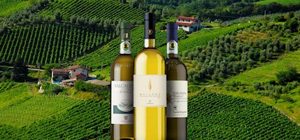 Valcalepio Bianco