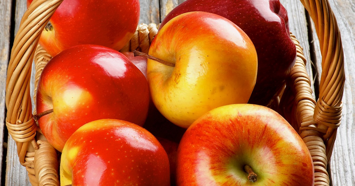 Red Prince Apples Local Apple Variety From Weert, Netherlands